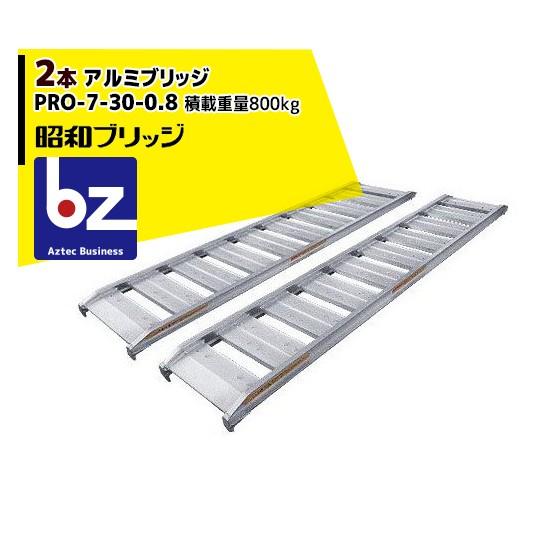 昭和ブリッジ｜アルミブリッジ 2本セット PRO-7-30-0.8 (長さ210cm×幅 