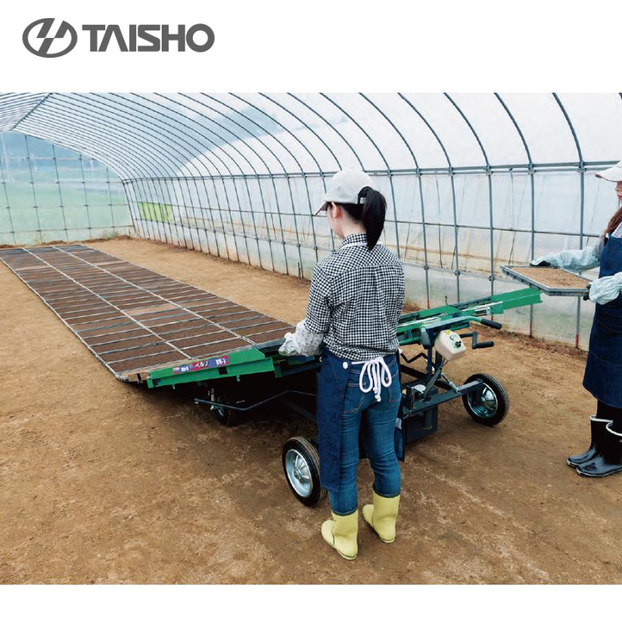 タイショー 苗箱並べ機 ベルノ 3列並べ 作業能率800〜1,600箱/時間 BW