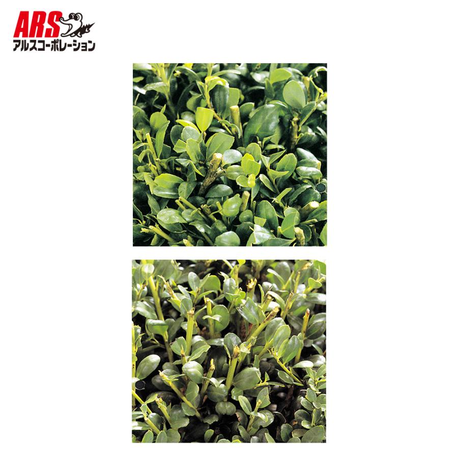 アルス 高枝電動バリカンDKRショートチルト1.0m チップレシーバー付