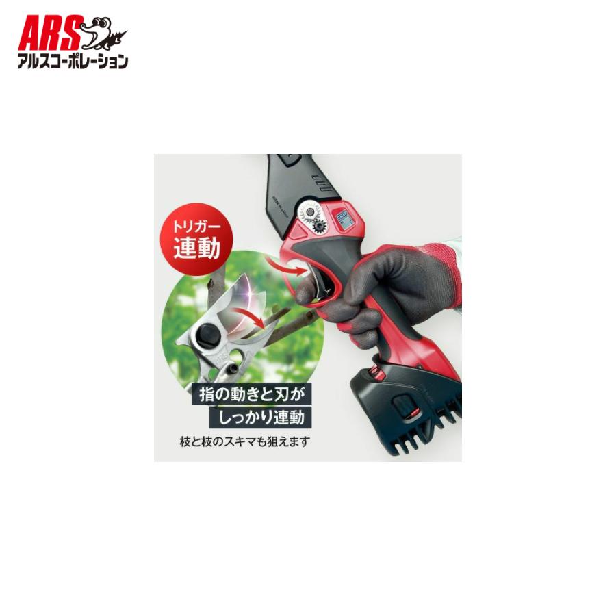 アルスコーポレーション｜ARS コードレス電動パイプ回転式高枝鋏 スゴタカ2.3ｍ バッテリx2個 充電器セット品 EPT-720-2.3 | アルス | 06