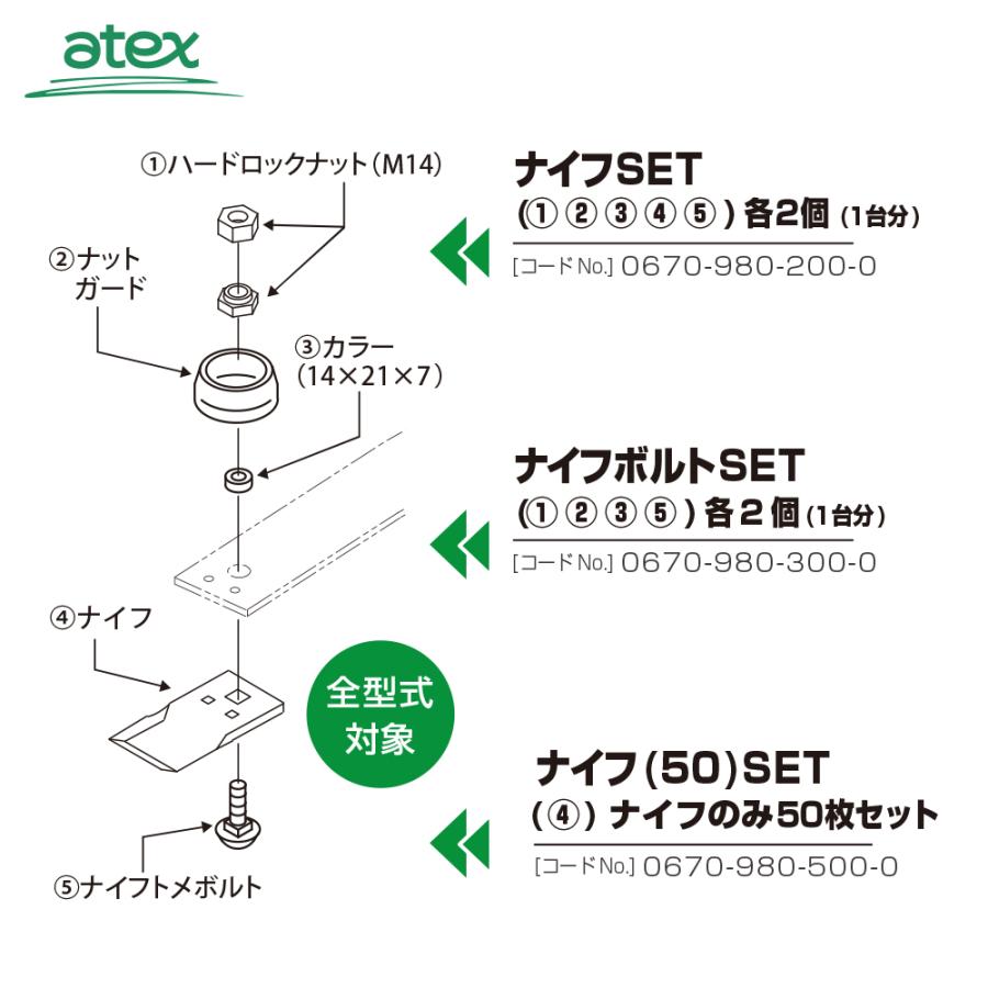 モアイです。 鳥取砂丘モアイZ｜ショッピング 商品紹介＆注文|モルタルマジック 鳥取