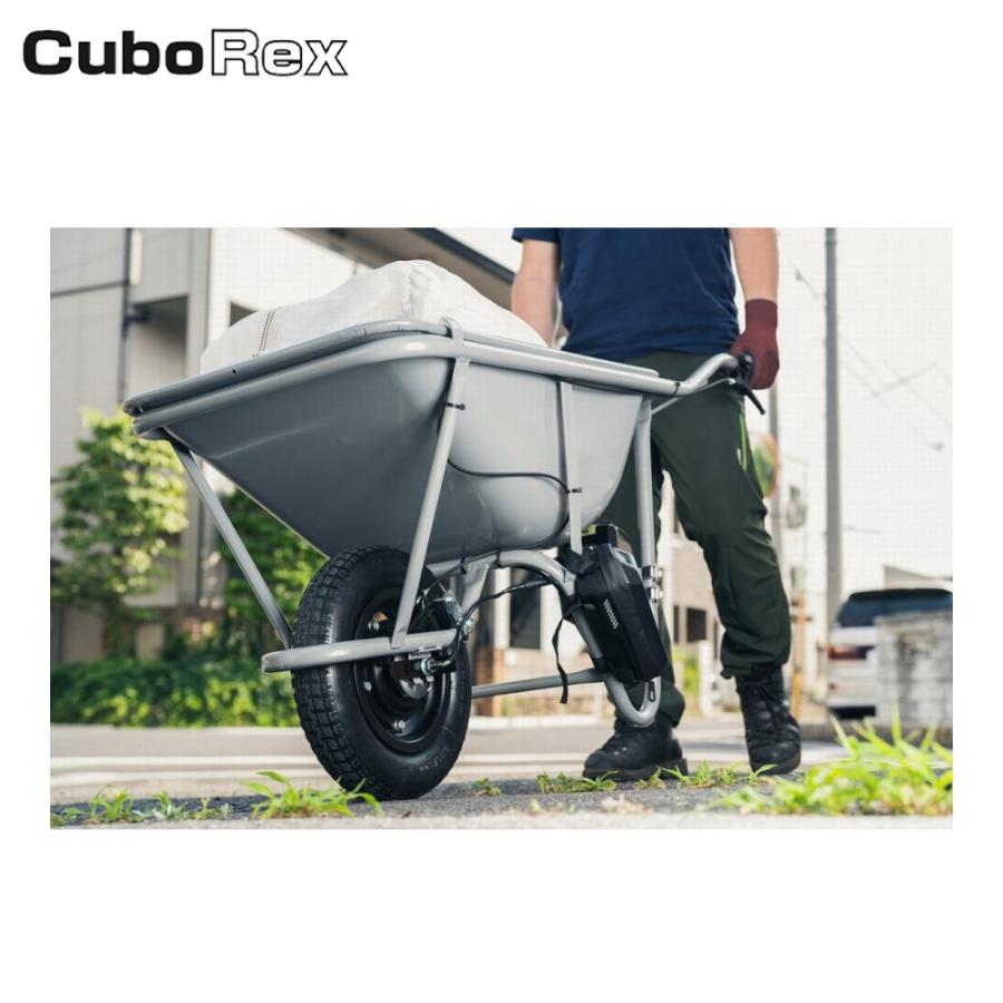 CuboRex｜キューボレックス E-Cat Kit2 単品 チューブタイヤ仕様 IP54防塵・防水対応 高耐荷重100kg バッテリ・充電器セット品｜aztec｜10