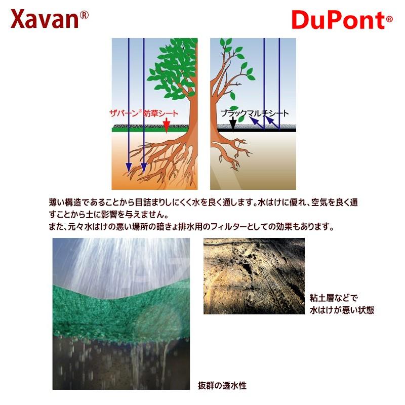 DuPont（デュポン） 防草シート ザバーン240G 2mx30m グリーン XA