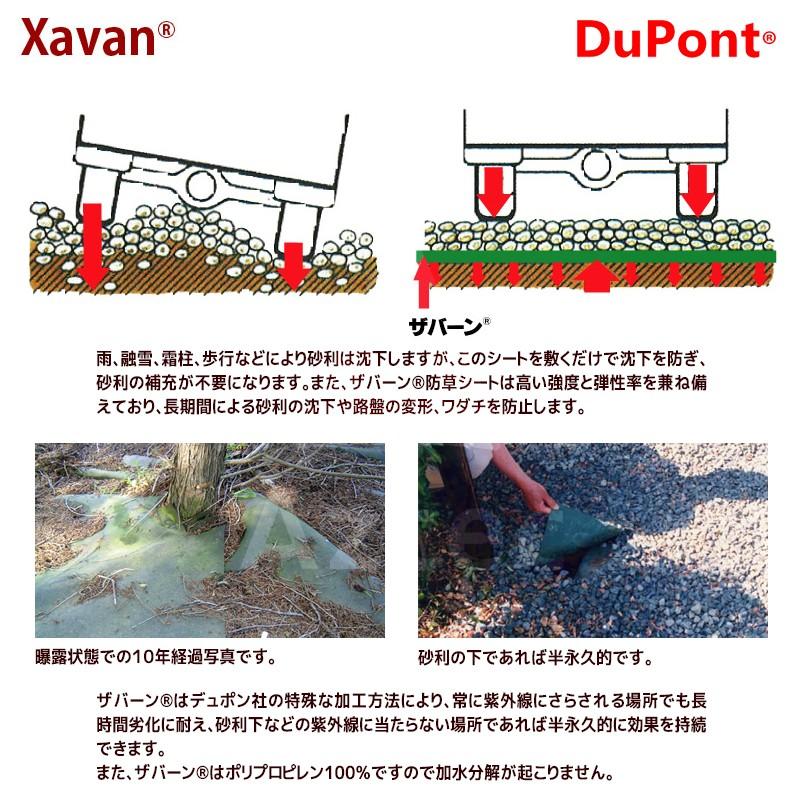 DuPont（デュポン） 防草シート ザバーン350G 2mx30m グリーン XA