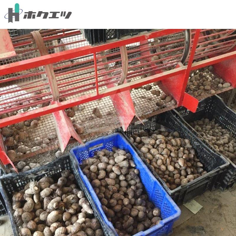 ホクエツ 里芋選別機 3型 SS-3S 単相100V/200W 毛羽取機SK-300S/T・SK