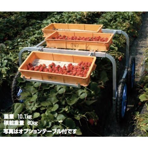 ハラックス HARAX アルミ製 収穫・植付け用台車 楽太郎 RA-80 積載量