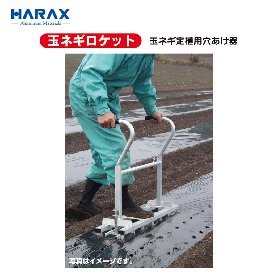 ハウス食品 ハラックス HARAX タマネギ定植用穴あけ器 玉ネギロケット