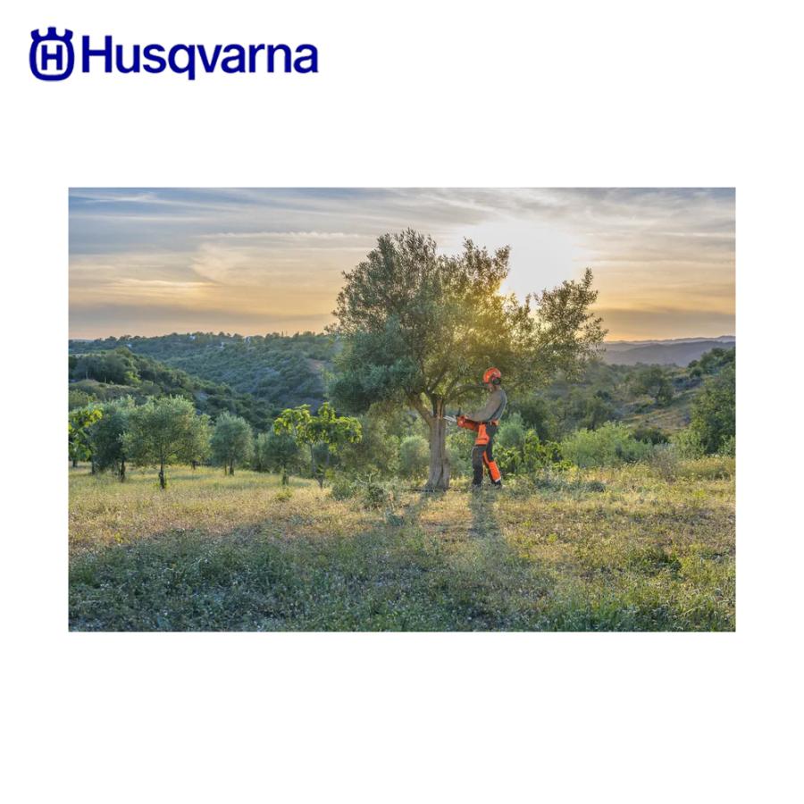 HUSQVARNA 「ハスクバーナ」 20インチ 折り畳み自転車 Amazon | TOMONAU 折りたたみ自転車 折り畳み自転車 20インチ 6