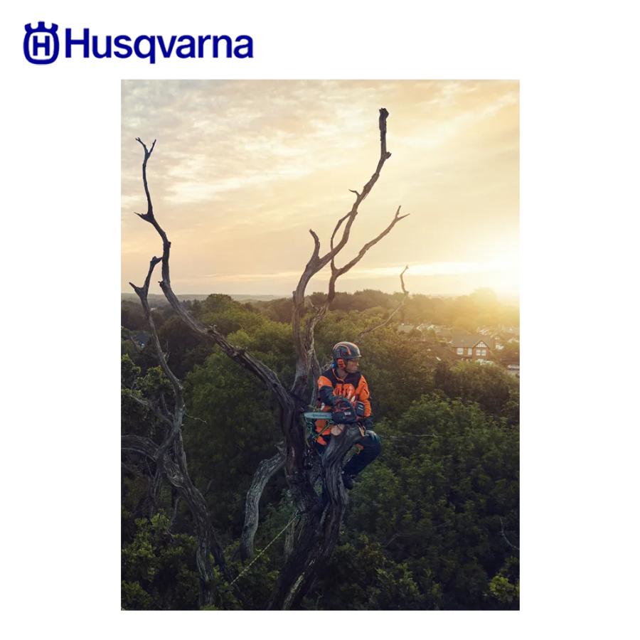 ハスクバーナ Husqvarna｜ハスクバーナ バッテリー式チェンソー 