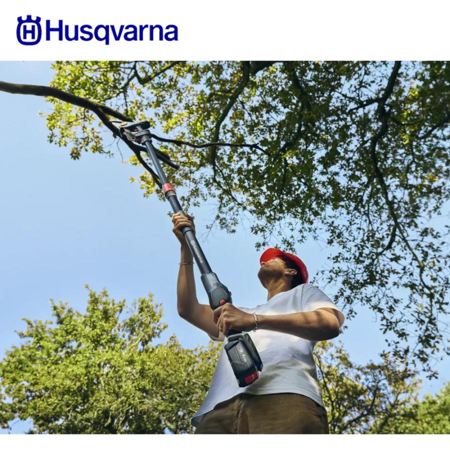 ハスクバーナ（Husqvarna） 充電式ハンディチェンソー ブルーナ P5-P4A