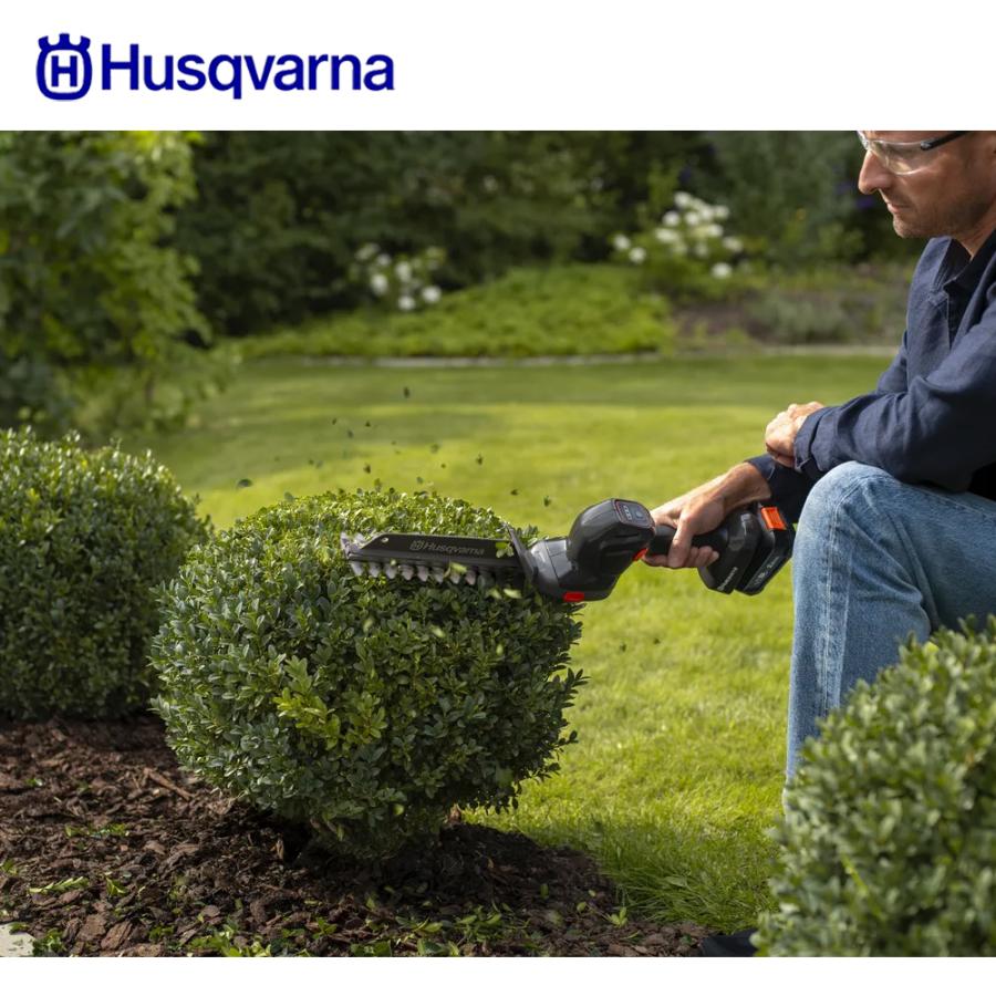 ハスクバーナ（Husqvarna） Husqvarna Aspire S20 バリカン