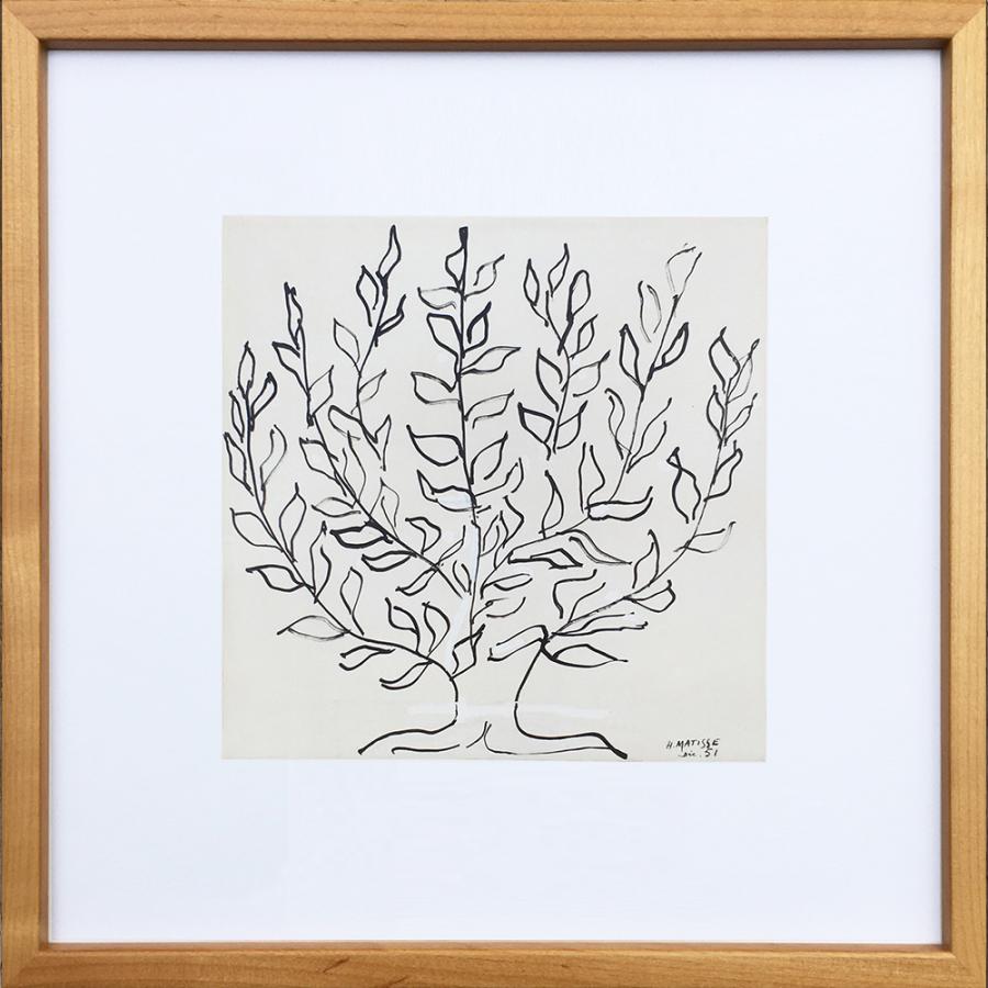 Matisse in Morocco アンリ・マティス 洋書