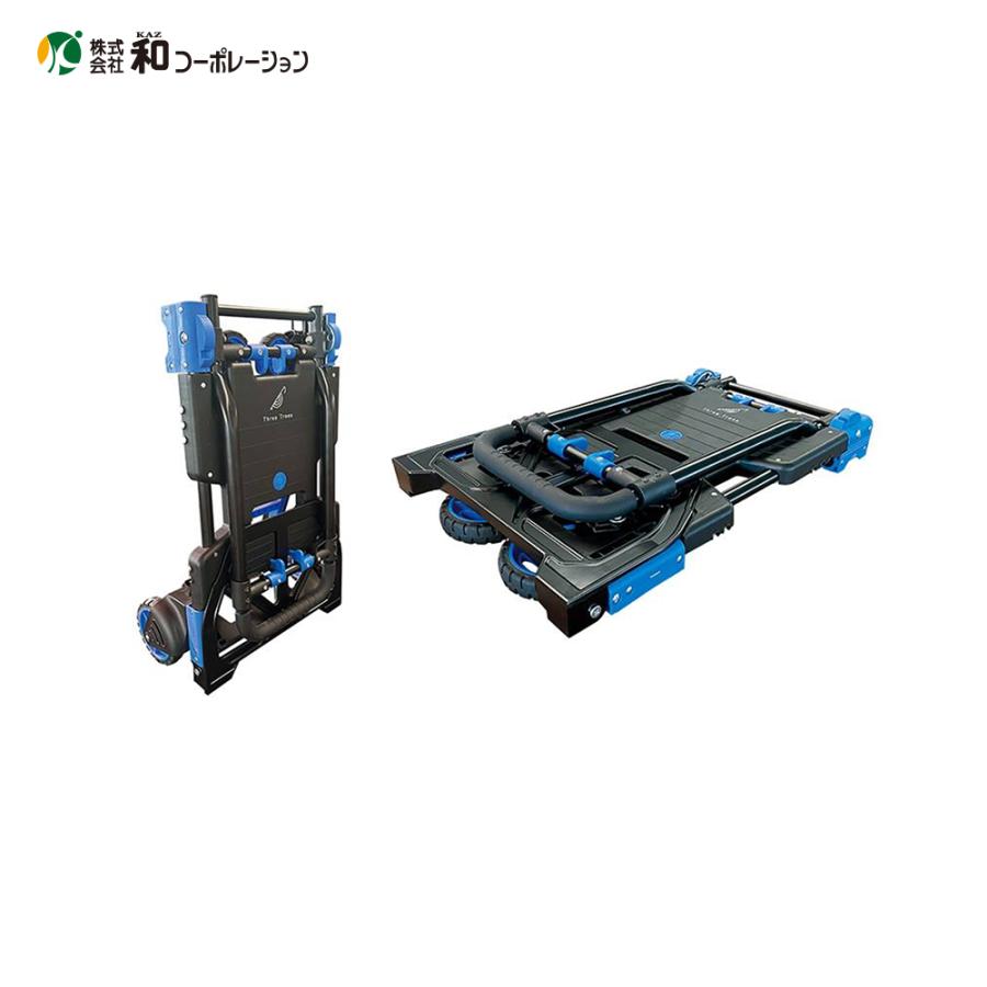 和コーポレーション KAZ 折り畳み式2WAYマイカート MK-FTW : AZTEC