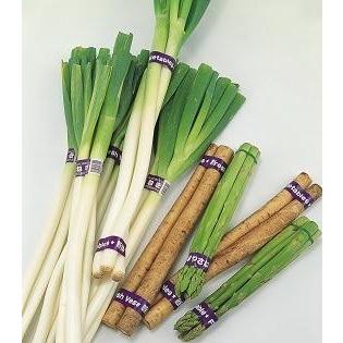 電動マックス野菜結束機 マックス（MAX） 野菜結束機 スイッチオプション 2連フットスイッチ