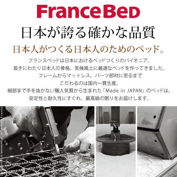 フランスベッド（FRANCEBED） デュラテクノスプリングマットレス
