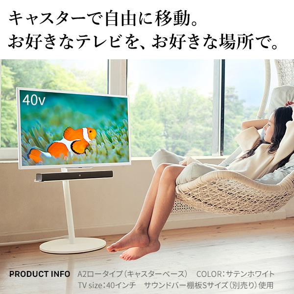 EQUALS（イコールズ） WALLインテリアテレビスタンドA2 ロータイプ 24