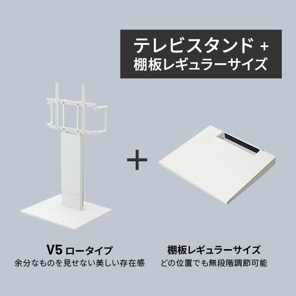 EQUALS（イコールズ） テレビ台 WALLインテリアテレビスタンドV5 ロー