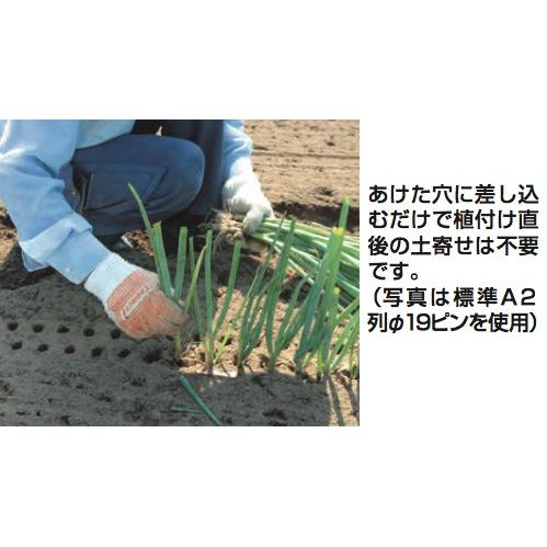 ハラックス HARAX ネギロケット N-160S-32 (13本) 長ネギ定植用