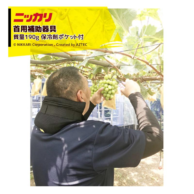 ニッカリ <2個セット品>首用補助器具 果樹栽培農家や産業用点検ラック