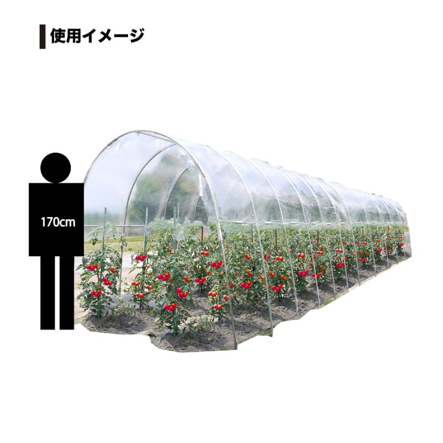 ナンエイ 南栄工業 雨よけハウス 2畝用 AM2294 間口 2.2 × 奥行 9.47