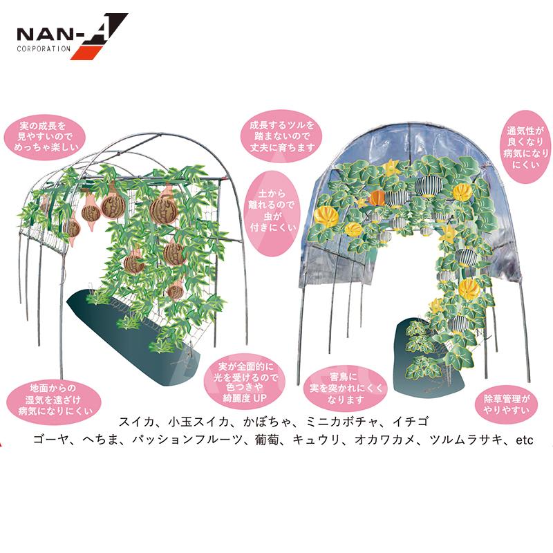 超お徳用 沖縄県産 EM栽培ハウスへちま 20kg 沖縄農業体験イベント・産地直送商品なら｜Digital Halusa協同