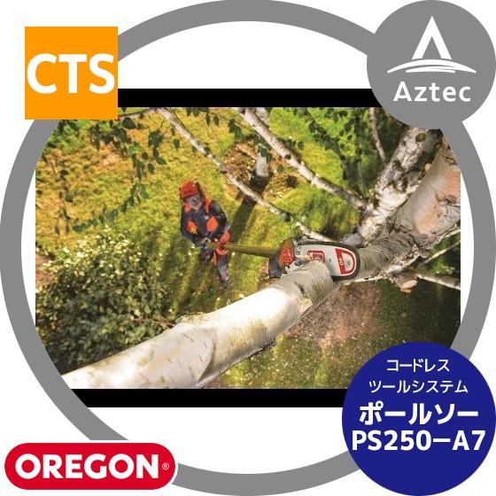 OREGON｜充電式ポールソー オレゴン コードレスツールシステム PS250（4.0Ahバッテリー、ラピッドチャージャーセット）