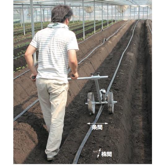 ハラックス HARAX 播種資材 マークン RM-2024/2428 苺苗用植付け位置
