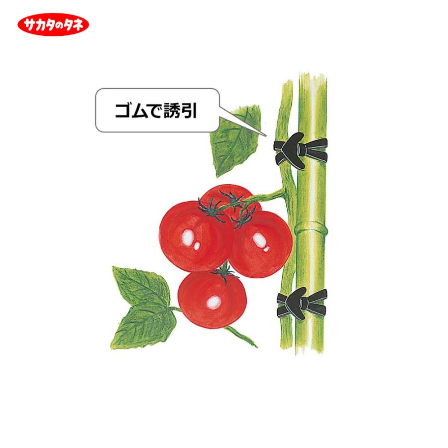 コムギ出品 ゆるっとろみ スカ－チョ/セットアップ対応（12-52PO14-206