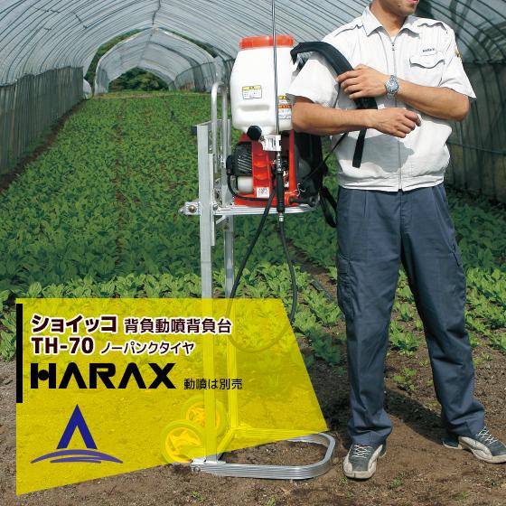 はっさくさん専用 742c488935d79ac50ba4192938d8c6