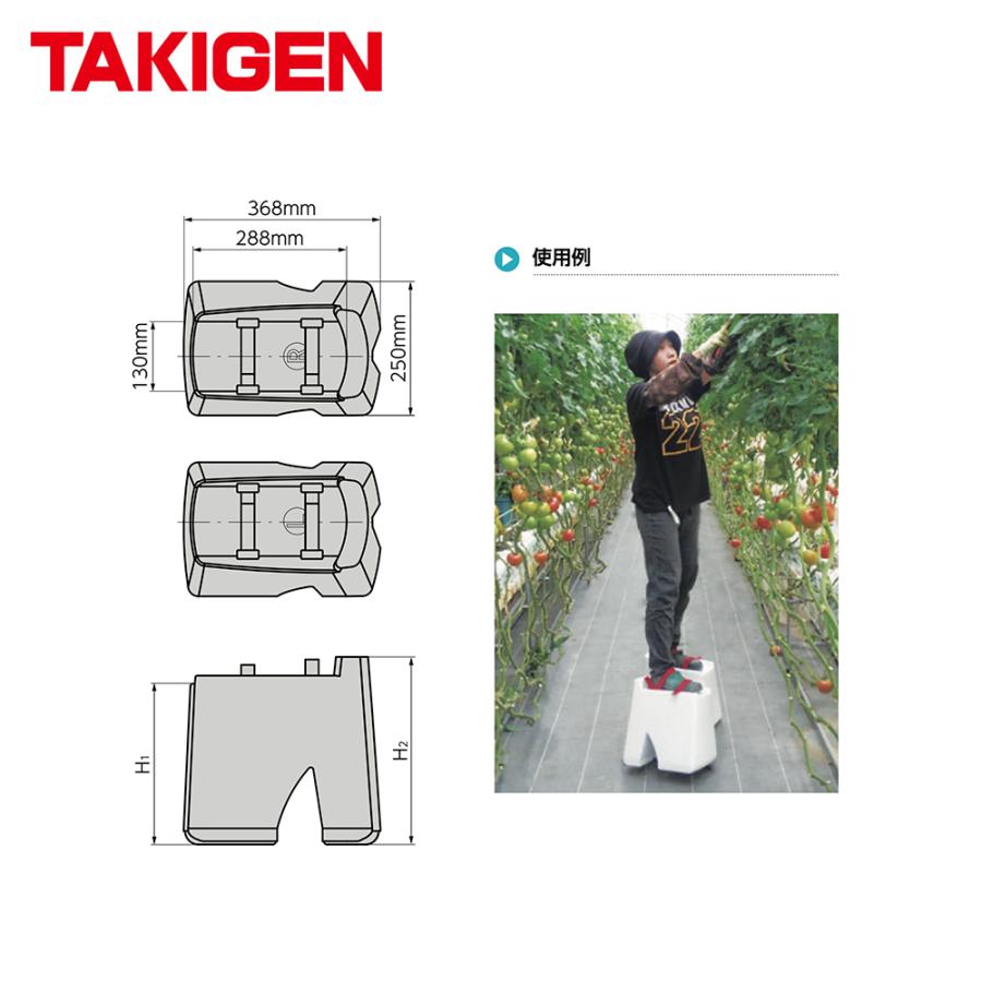 TAKIGEN アグリ下駄 高さ200mm CP-666-2 24820 許容質量 100kg : AZTEC
