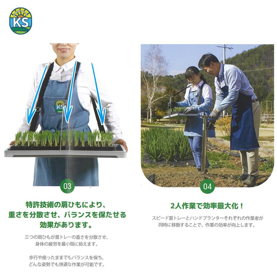 KSFARM スピード苗トレー 軽量970g 苗植 特許取得 サイズ590mm×300mm