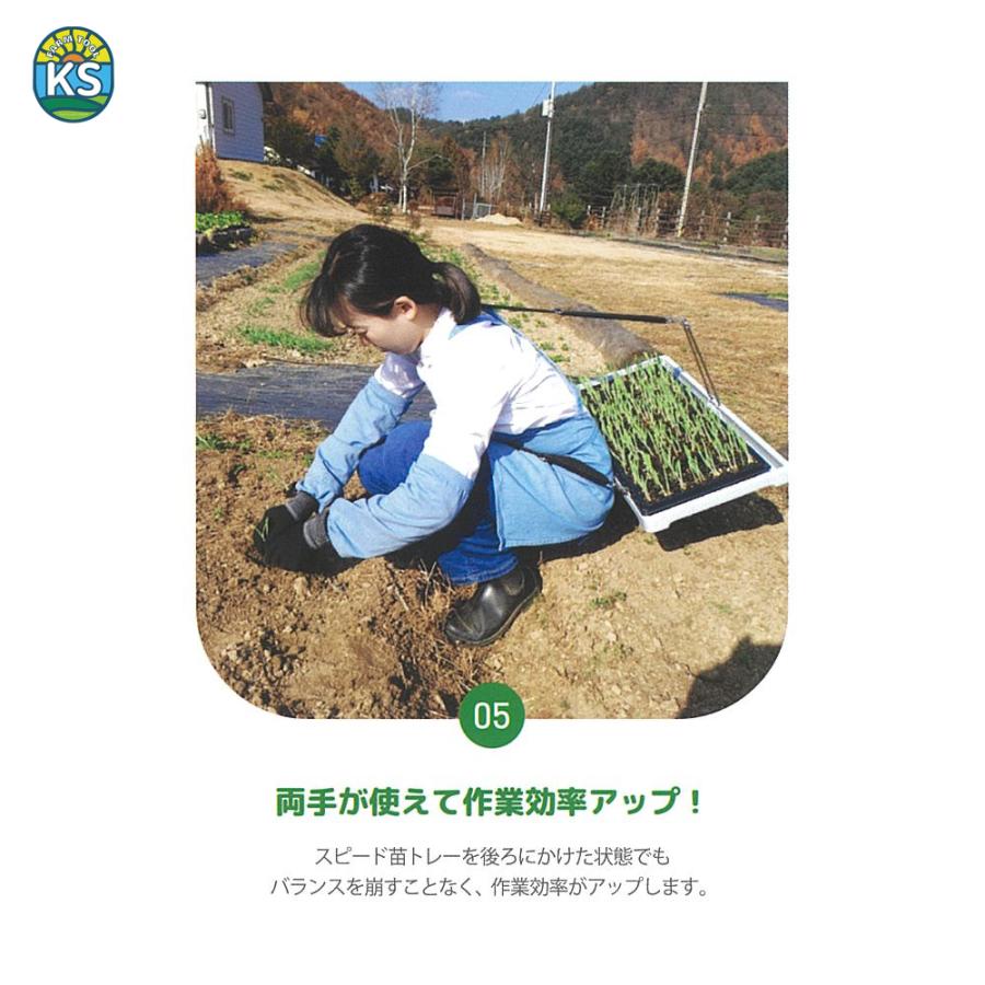 KSFARM スピード苗トレー 軽量970g 苗植 特許取得 サイズ590mm×300mm