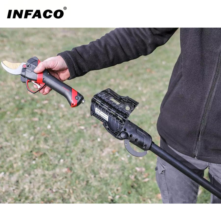 imlph出品です 楽天市場】【 エントリーでポイント最大19倍 12/19(金)20:00〜12/20(土