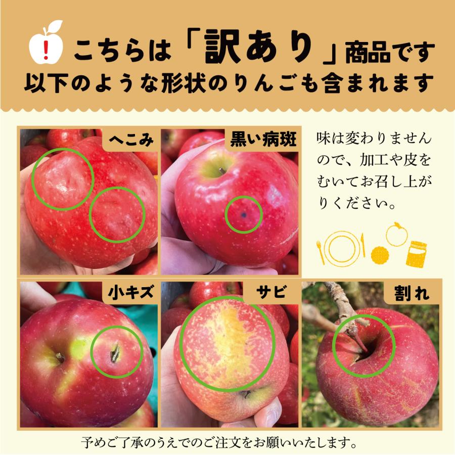 10月3日から発送開始 指定日不可「秋映5キロ箱訳あり品」  甘い 秋 りんご 長野県 安曇野 信州 産地直送 果物 訳あり 5kg |  | 01