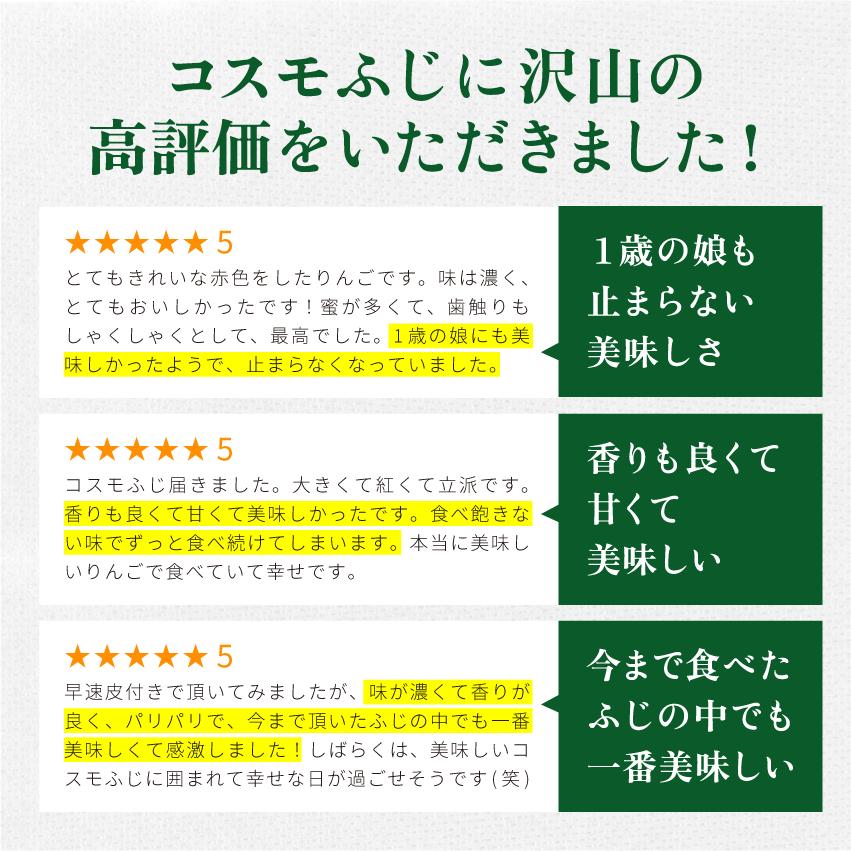 「コスモふじ3キロ箱A品B品」 農林水産大臣賞 長野県産 安曇野 信州産  幻のリンゴ 予約 希少 旬  産地直送 3キロ 箱使用  鮮度抜群 産地直送 11月収穫 |  | 05