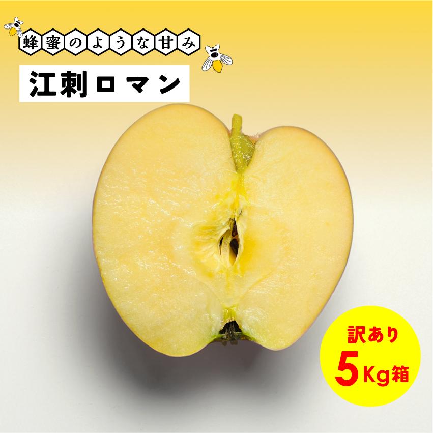 蜂蜜のような濃い甘さが魅力！長野県産 安曇野 信州産 幻 幻のリンゴ「江刺ロマン５キロ箱訳あり品」 | 