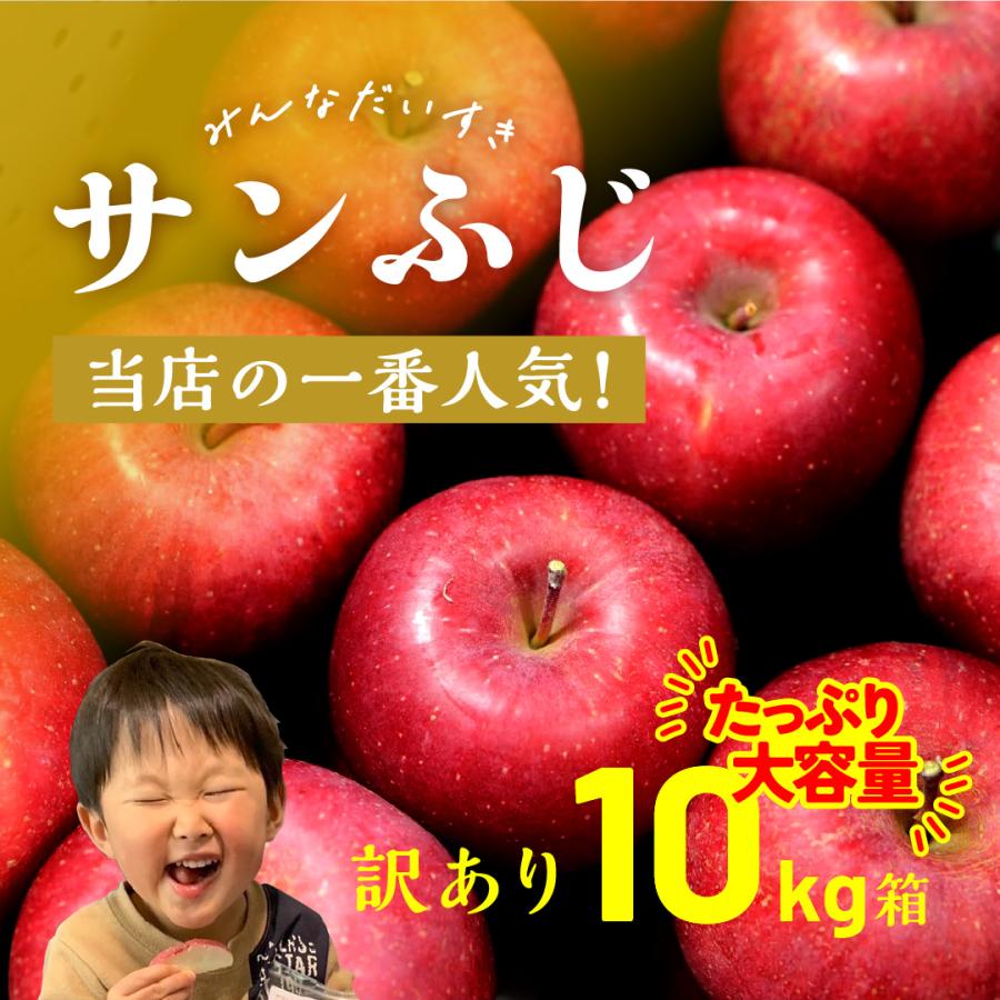 サンふじ10キロ箱訳あり品」 減農薬 甘い りんご 長野県 安曇野 サンふじ10キロ箱訳あり品」 減農薬 甘い りんご 長野県 安曇野