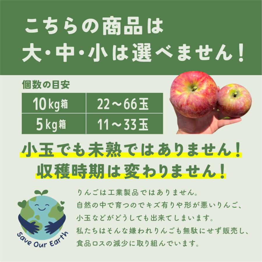 サンふじ10キロ箱訳あり品」 減農薬 甘い りんご 長野県 安曇野 サンふじ10キロ箱訳あり品」 減農薬 甘い りんご 長野県 安曇野
