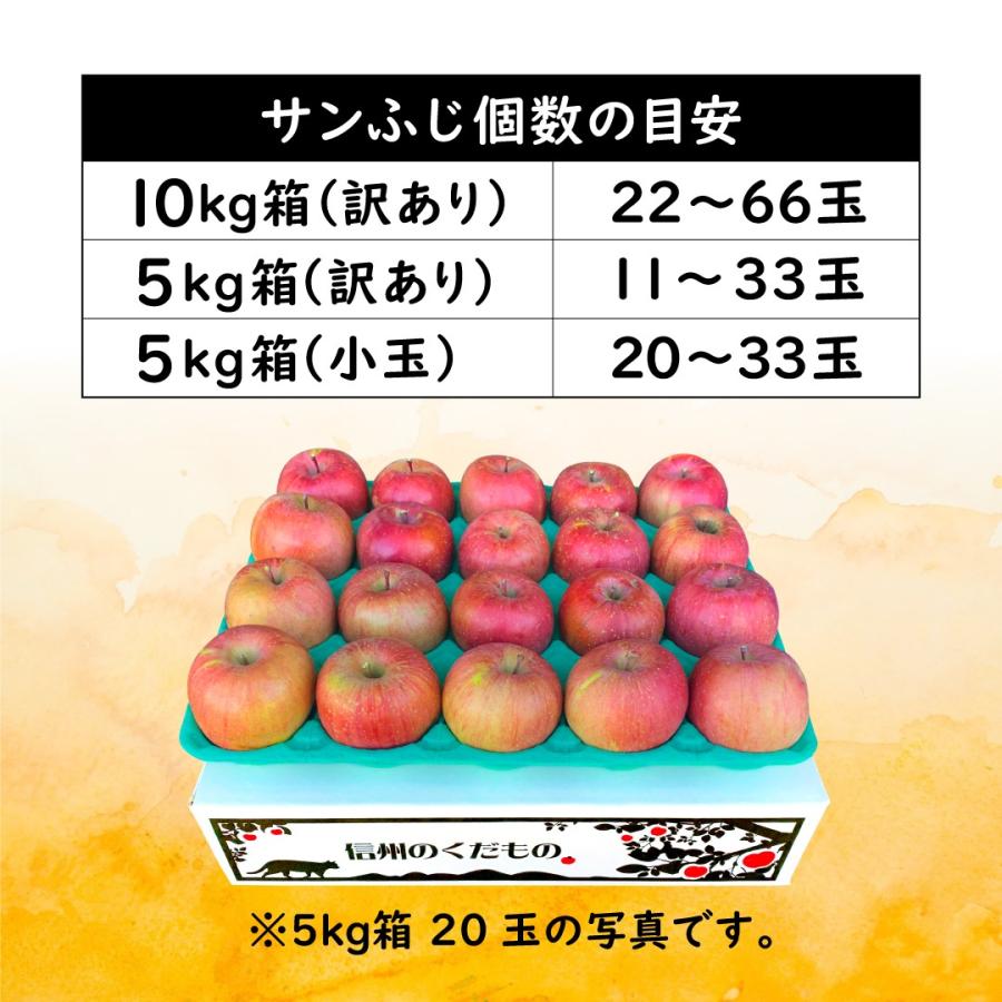 サンふじ10キロ箱訳あり品」 減農薬 甘い りんご 長野県 安曇野 サンふじ10キロ箱訳あり品」 減農薬 甘い りんご 長野県 安曇野