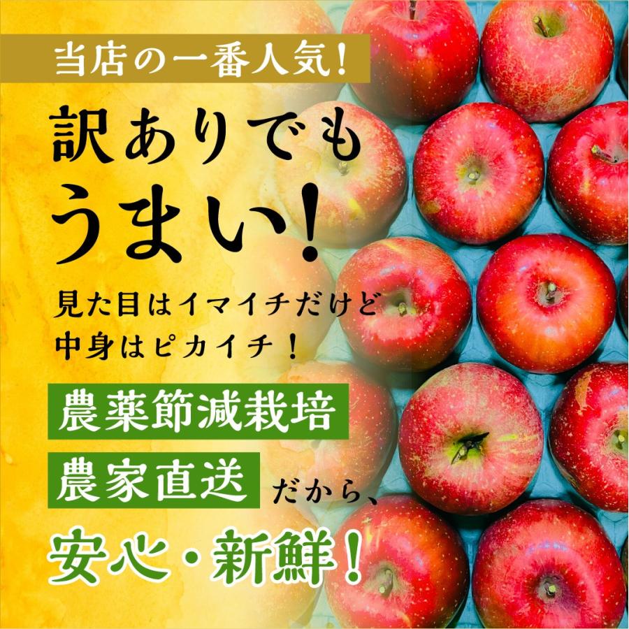 サンふじ10キロ箱訳あり品」 減農薬 甘い りんご 長野県 安曇野 サンふじ10キロ箱訳あり品」 減農薬 甘い りんご 長野県 安曇野