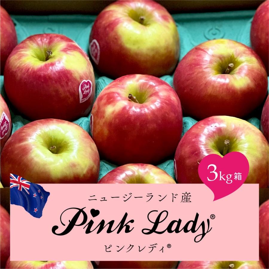 5%オフクーポン配布中】【発送中!スカスカなふじよりもこれ