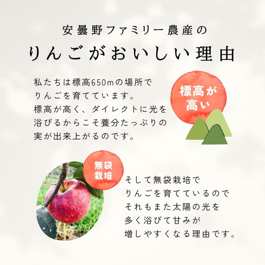 ピンクレディ 10kg 箱 訳あり 幻の林檎 減農薬 希少 りんご 長野 安曇野 信州 産地直送 酸っぱい 「ピンクレディ10キロ箱訳あり品」｜azu-fam-nos｜11