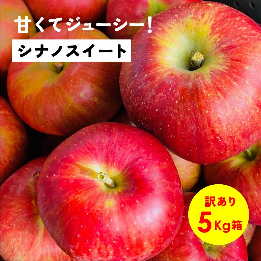10月14日から収穫開始「シナノスイート5キロ箱訳あり品」  甘い りんご 長野県 安曇野 信州 産地直送 5kg | 
