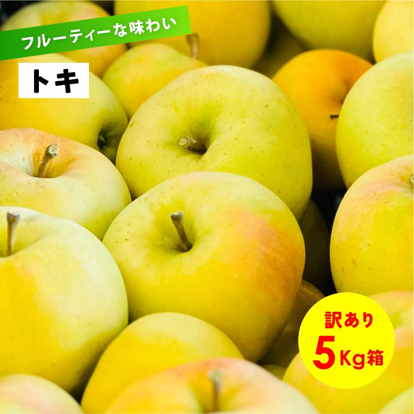 フルーティーな香りと沢山の果汁 長野県産 安曇野 信州産 幻 幻のリンゴ 9月収穫「トキ5キロ箱訳あり品」 | 