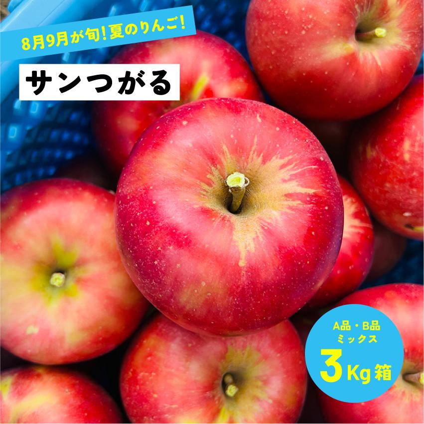 8月19日から発送開始予定 指定日不可 定番夏りんご サンつがる ３キロ箱 A品B品ミックス7〜15玉 サビ小傷あり「サンつがる3キロ箱A品B品」 | 