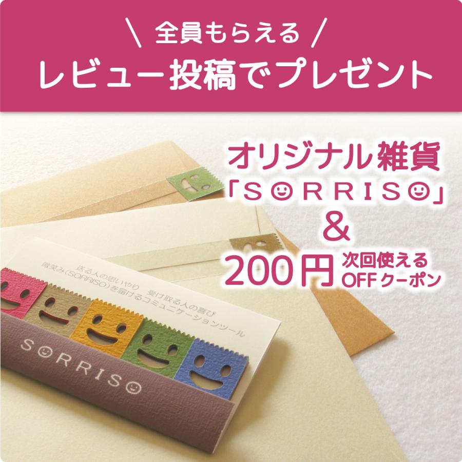 あずホ 小豆カイロ ホットパック 電子レンジ 首 肩 手首 足首