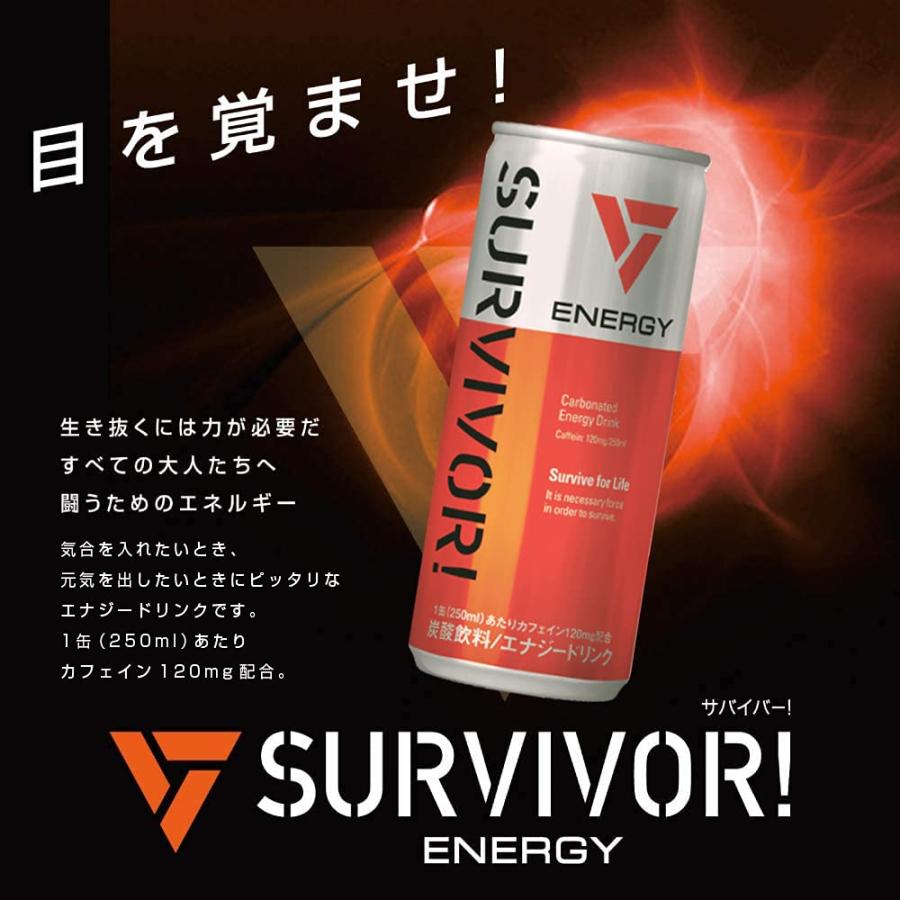 SURVIVOR!(サバイバー) エナジードリンク 缶 250ml ×30本 [ カフェイン48mg アルギニン130mg ビタミンB群配合 合成甘｜azukipalette｜05