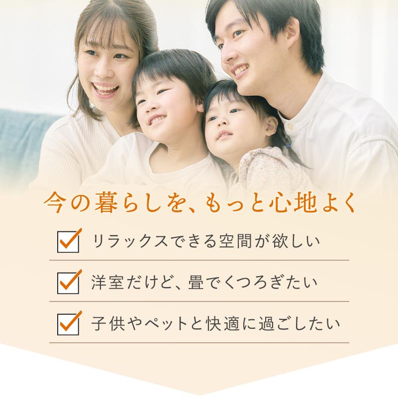 縁付き一畳 みやび 1枚 81cm×162cm 厚さ4cm 置き畳 一畳 厚い : 畳