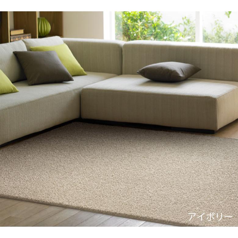 スミノエ ラグ シャギーラグ スミトロンニューツイスティ 200×200 日本