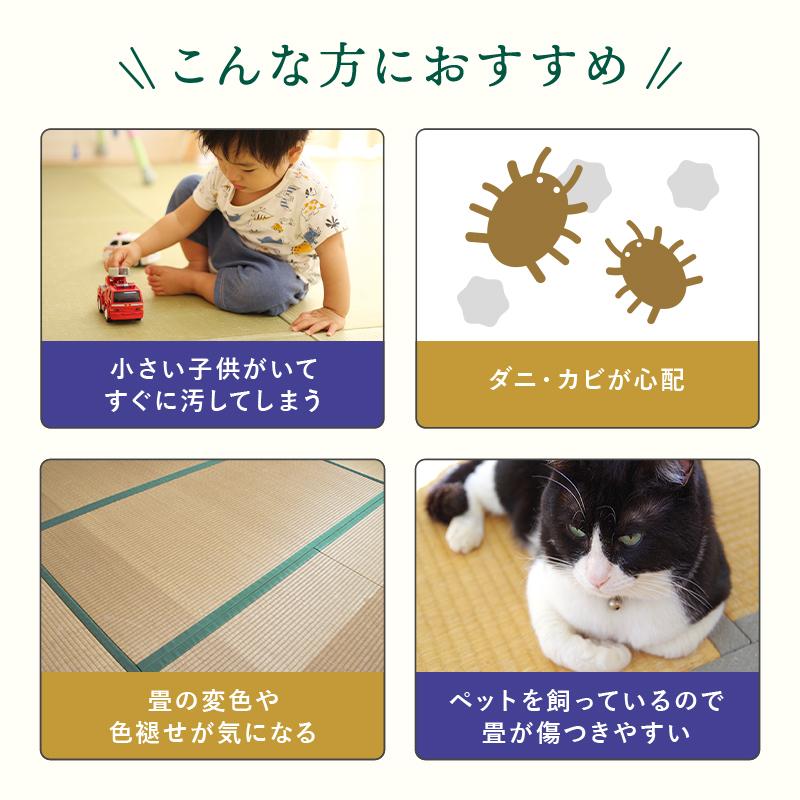 縁付き半畳 和紙畳 風雅 8枚セット 81cm×81cm 厚さ4cm 置き畳 半畳 銀白 高級畳 高級 撥水加工 ペット 傷つきにくい_5